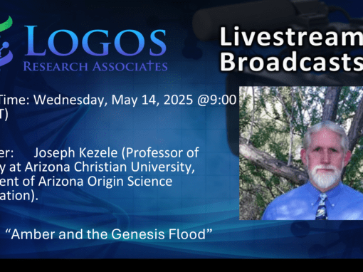 Amber and the Genesis Flood | Dr. Joseph Kezele