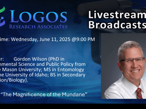 The Magnificence of the Mundane | Gordon Wilson, PhD.